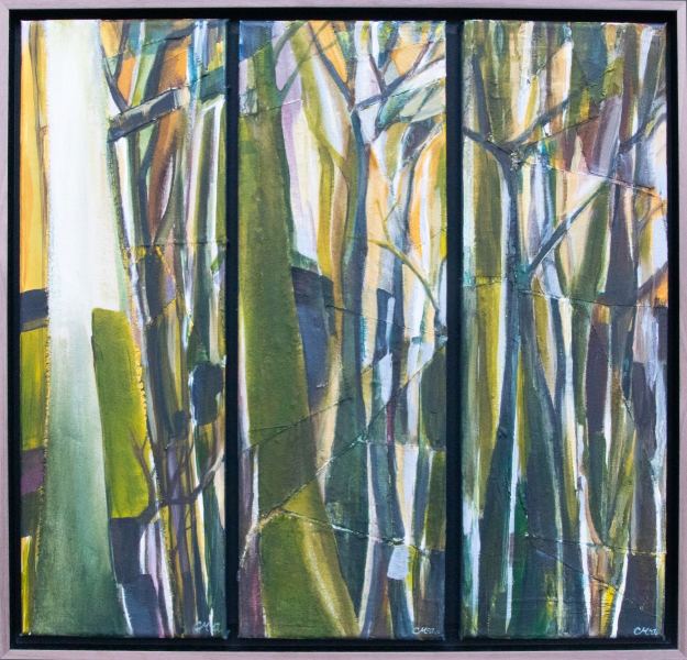 Cant-See-the-Trees-for-the-Forest-claire